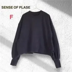 【センスオブプレイス】スウェット トレーナー ネイビー F アーバンリサーチ