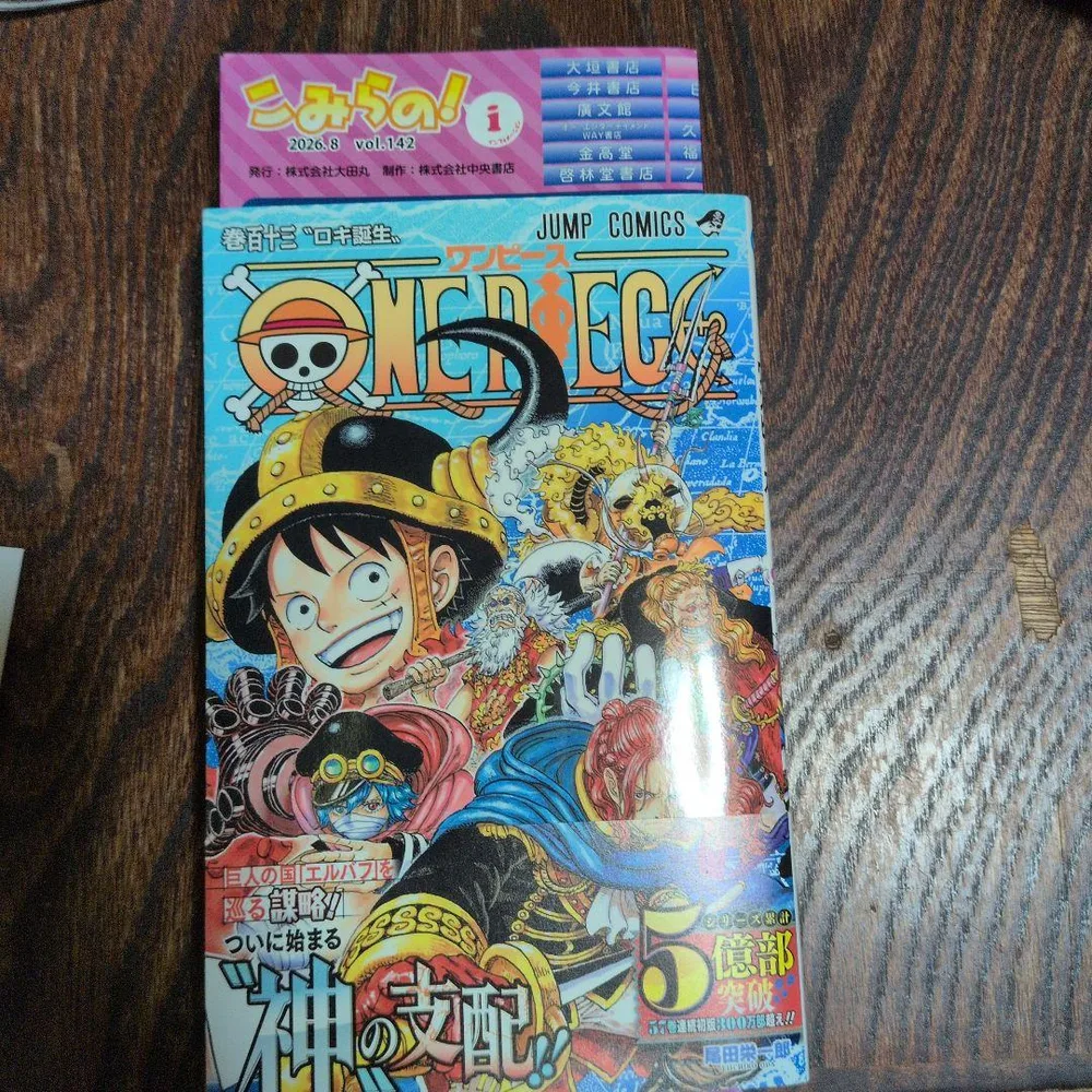 ONE PIECE 113