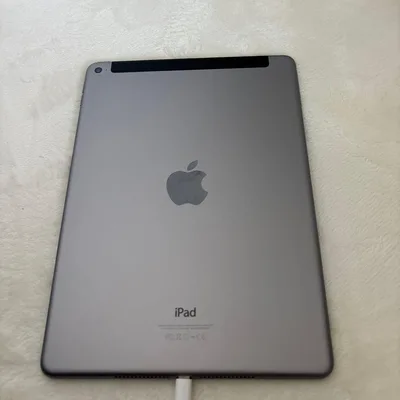 Apple iPad Air2本体