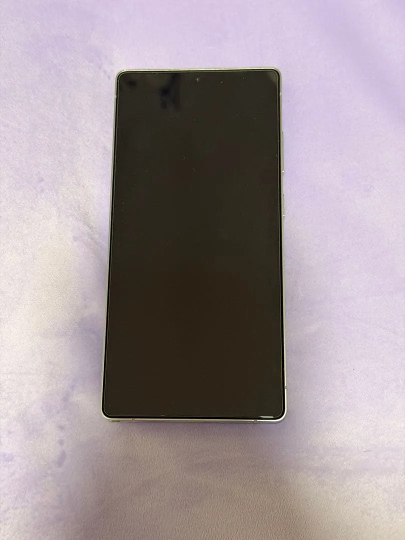 Samsung Galaxy S25 Ultra国内版