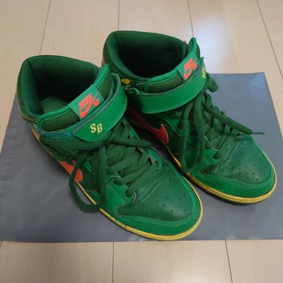Nike SB NIKE DUNK MID PRO WATERMELO