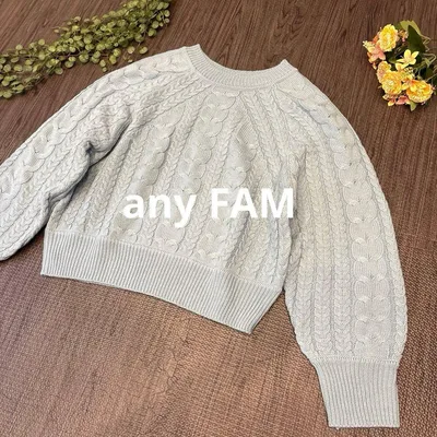 美品 any FAM ケーブル編みニット セーター 青系 Fサイズ