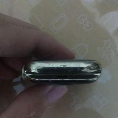 Apple Watchステンレススチール本体