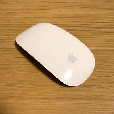 Apple Magic Mouse 電池式
