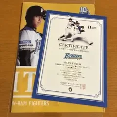 大谷翔平 プロ初登板試合 観戦証明書付き 記念クリアファイル セット