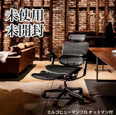 エルゴヒューマンプロ2 オットマン付 EHP2-LPL-DR-BF-BK