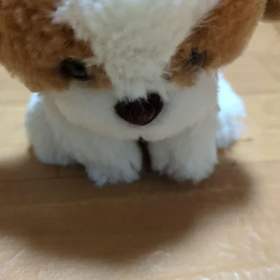 犬 ぬいぐるみ ブラウン ホワイト
