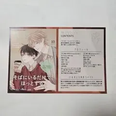 『アフター·ミッドナイト·スキン』 8巻 購入特典 イラストカード ポストカード