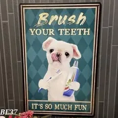 ブリキ看板 BF37 雑貨 置物 レトロ インテリア アート プレート犬 歯磨き