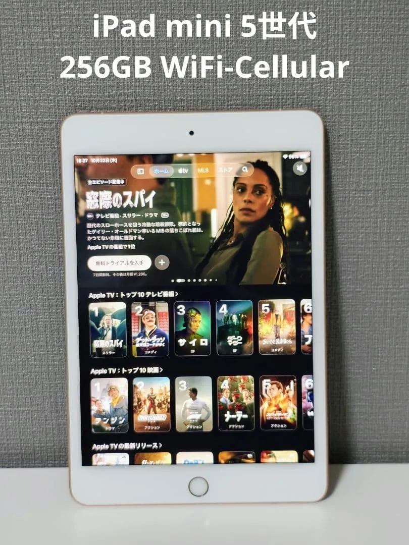 SIMフリー iPad mini 5世代 256GB WiFi-Cellular
