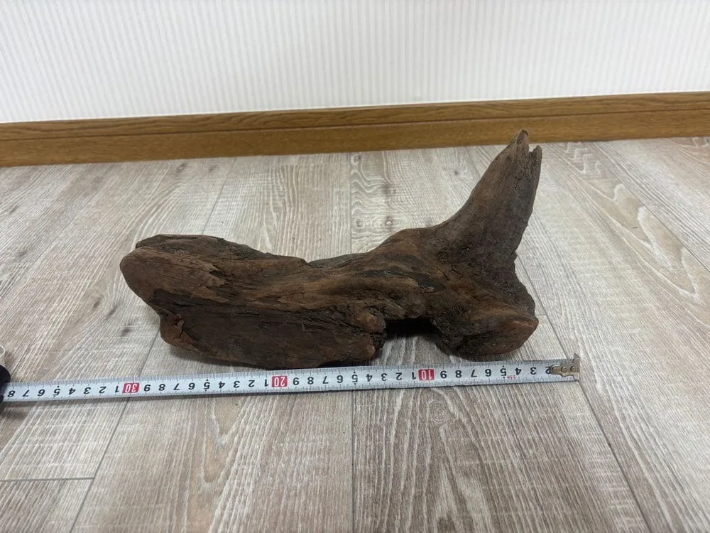 天然流木 ※煮沸沈水確認済み