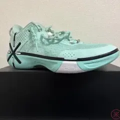 Li-Ning Way of Wade バスケットボールシューズ