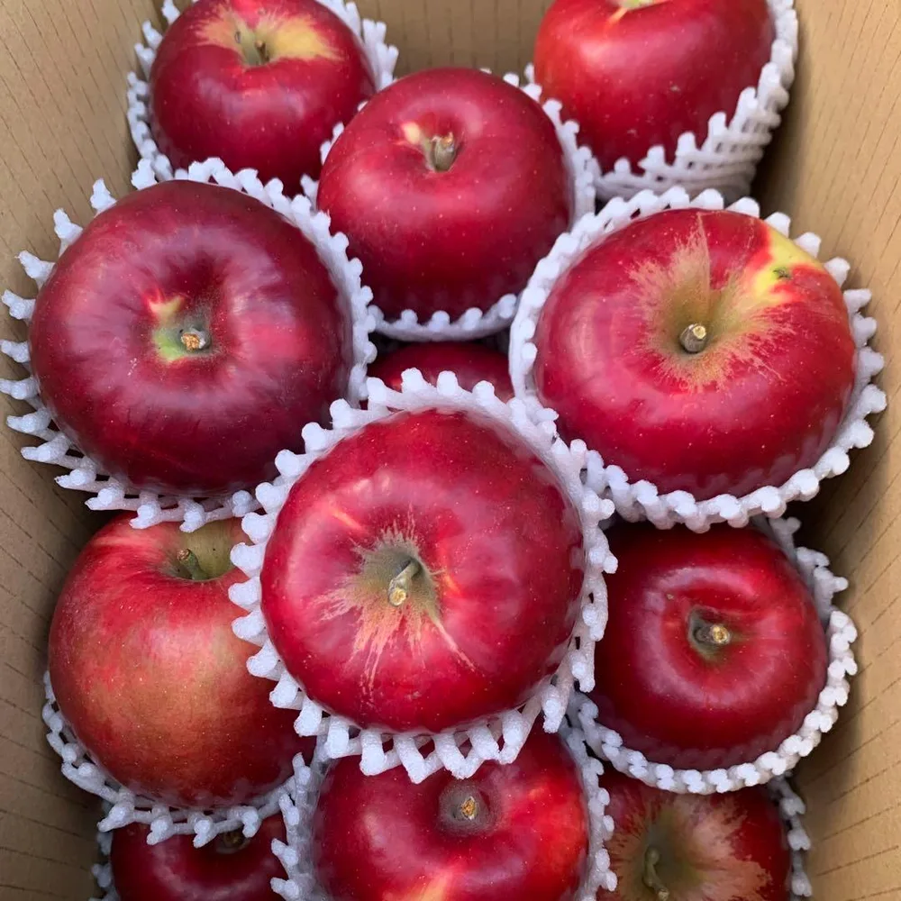 りんご 品種 紅玉 約4.5キロ 青森