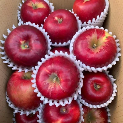 りんご 品種 紅玉 約4.5キロ 青森