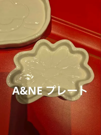 A&NE プレート gdragon ZONFRIENDS ZO&FRIENDS