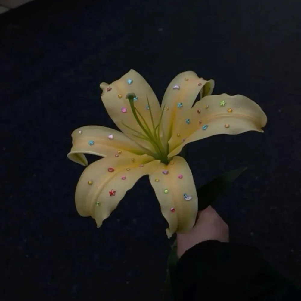 ネイルチップ オーダー専用ページ
