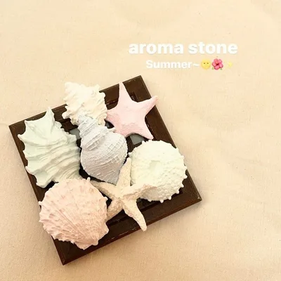 ⭐海のアロマストーン シェル&ヒトデ⭐