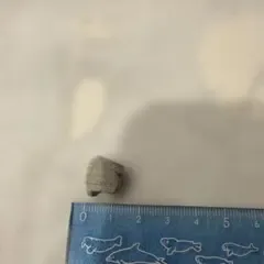 天然石 ルース 原石 鉱物標本