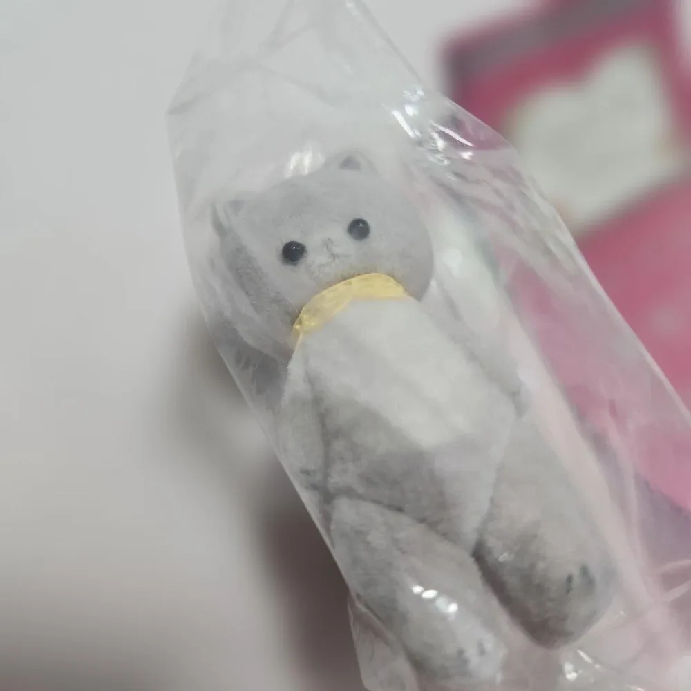 moriのえほん 小さい動物たち フィギュアコレクション vol.2 ねこ