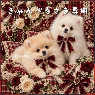 【受注制作】両面巾着袋(裏地あり)