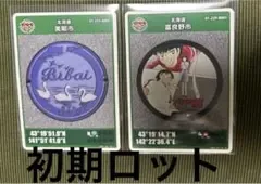 マンホールカード 北海道 美唄市 富良野市 2枚セット