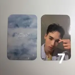 DMD patji トレカ 7
