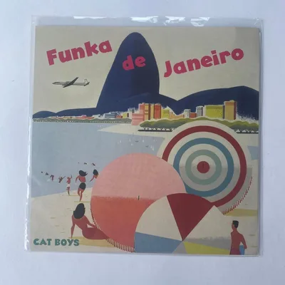 CAT BOYS Funka de Janeiro 7インチレコード‼️