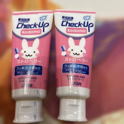 チェックアップ 歯磨き粉 / 60g ×2本セット