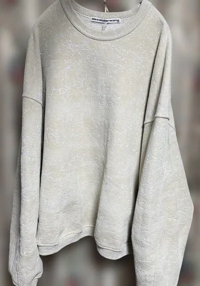正規品 alexanderwang スウェット プルオーバー 登坂広臣 L