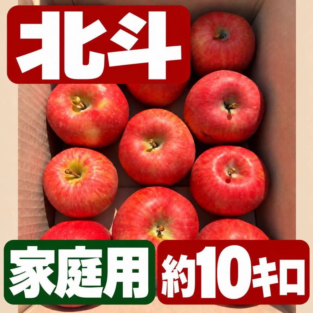 青森県産 りんご 北斗 家庭用 約10kg