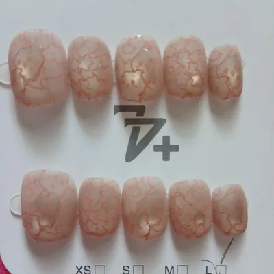 ネイルチップ Lサイズ e⑭