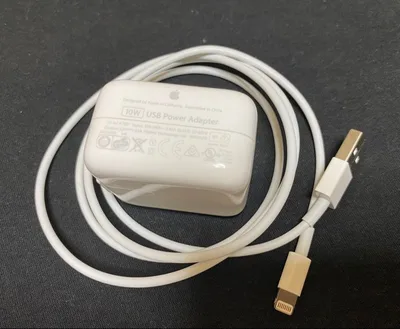 Apple純正 Lightningケーブル+充電器 iPad付属品