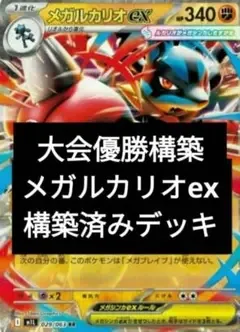 メガルカリオex構築済みデッキ