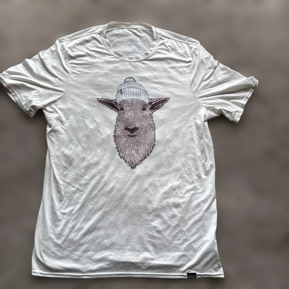 Patagonia パタゴニア キャプリーン Tシャツ