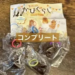 わいわいかぴぐらし クリアめじるしチャーム①