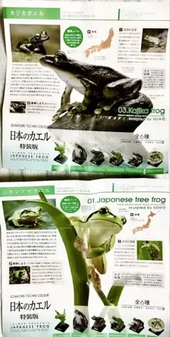 ネイチャーテクニカラー 日本のカエル特装版2種(カジカガエル、ニホンアマガエル)