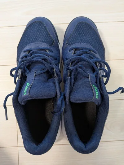 ASICS GEL-DEDICATE8 テニスシューズ メンズ カーペットコート