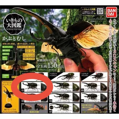 「いきもの大図鑑 かぶとむし」 ヤマトカブトムシ (黒) フィギュア