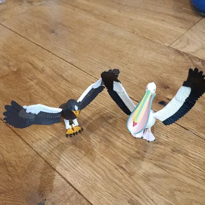 タカラトミーアーツ 鳥たちの世界 翼の楽園 オオワシ ペリカン セット