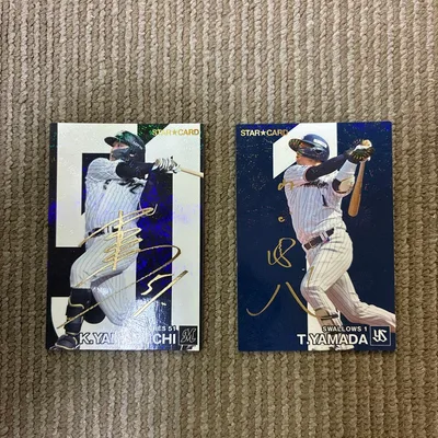 カルビー プロ野球チップス 2024 山口航輝 山田哲人 スターカード