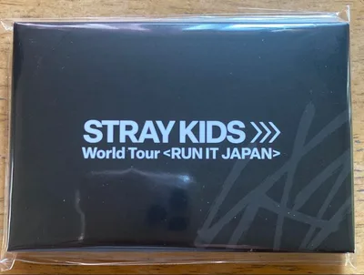 Stray Kids スキズ RUN IT JAPAN アプグレ特典トレカ