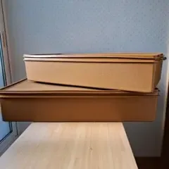 タッパーウェア スーパーケース 2個セット