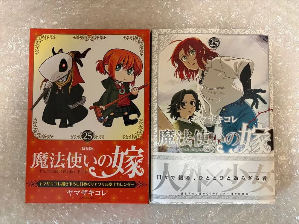 魔法使いの嫁 25巻 特装版