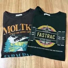 アメリカンホリック Tシャツ2枚セット