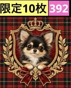 限定10枚! レアパネル生地 無くなり次第終了です チワワパネル生地