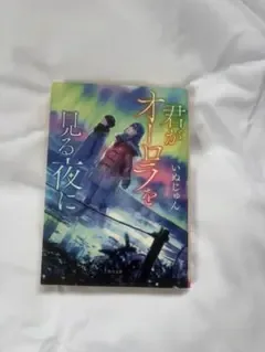君がオーロラを見る夜に いぬじゅん 角川文庫
