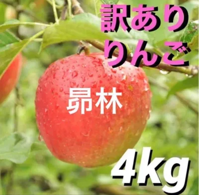 【限定価格】希少!4キロ 昴林 訳あり 不揃い 早生ふじ 家庭用 スイーツ