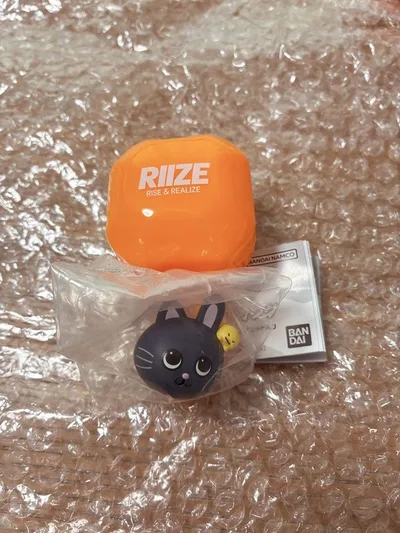 RIIZE ぷくっとリング ウォンビン トニャンドク
