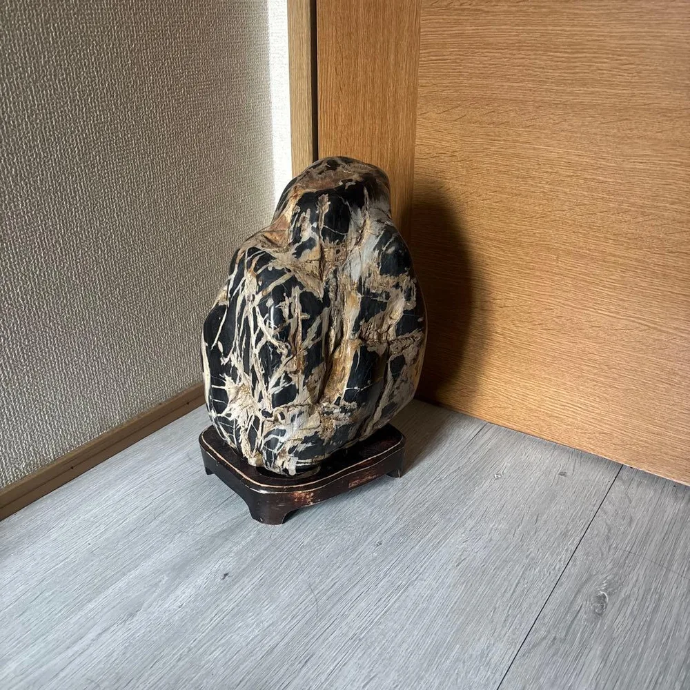 珪化木