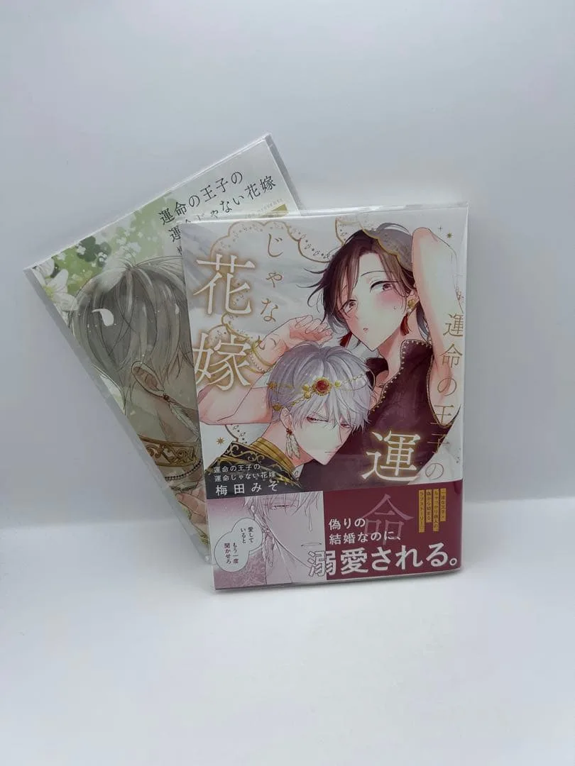 運命の王子の運命じゃない花嫁/梅田みそ